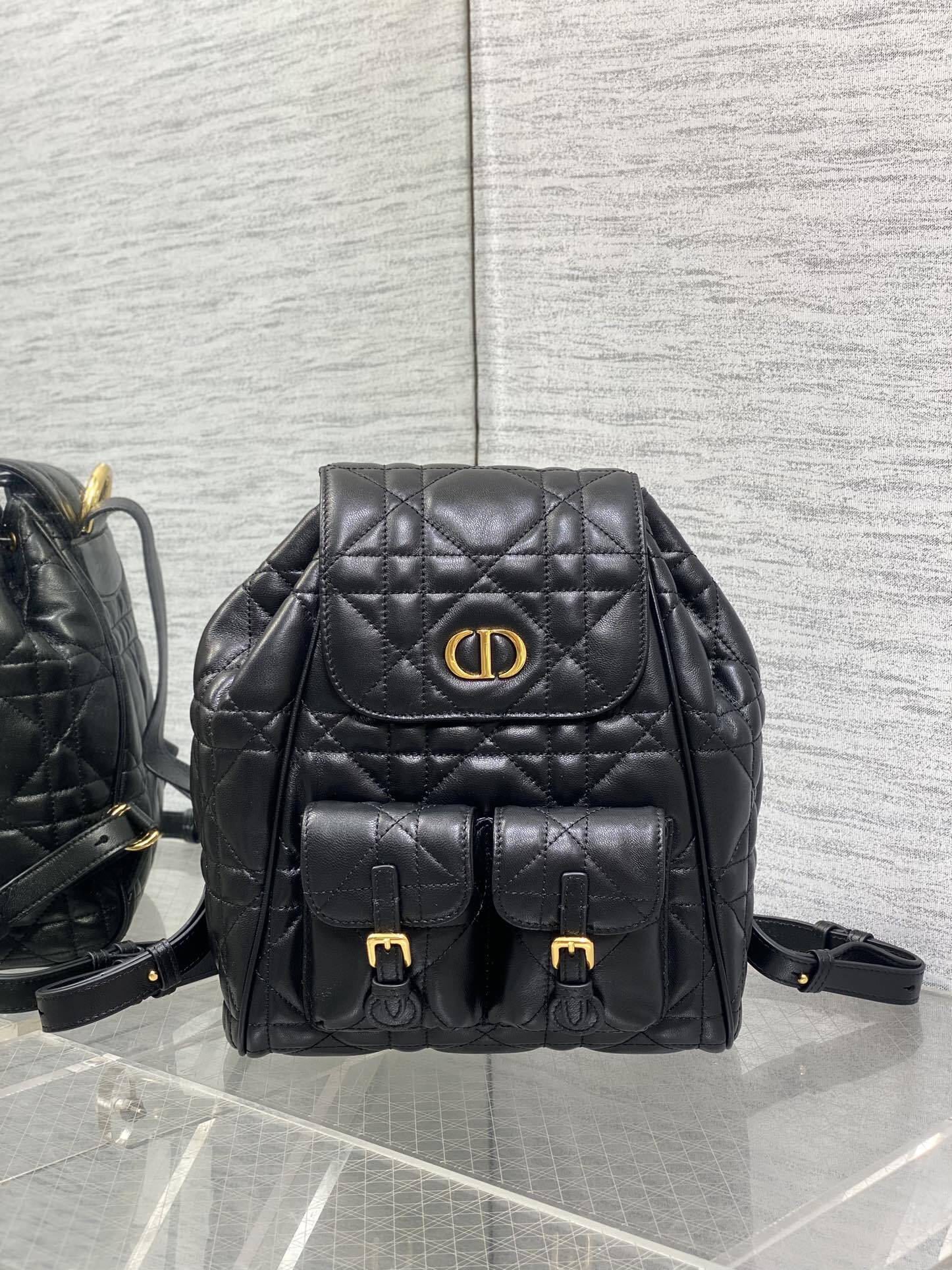 copy_of_Dior_Caro_Fall_Winter_Backpack_Signature_Logo_Wicker_Pattern_with_Gold_Handle_Soft_Lambskin_1748159672803_0-1.jpg